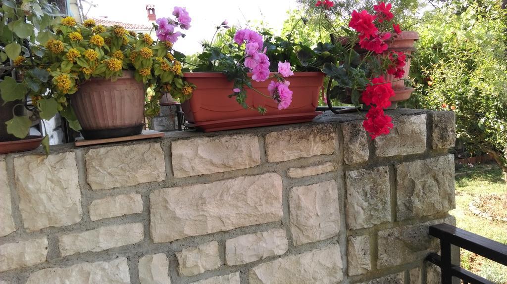 Appartement Ana